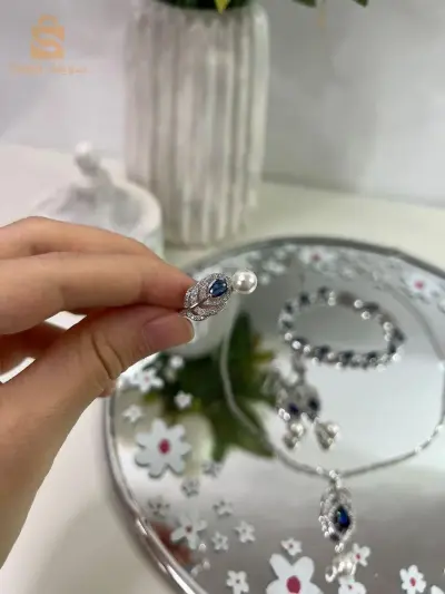 اكسسوارات بلاكيور