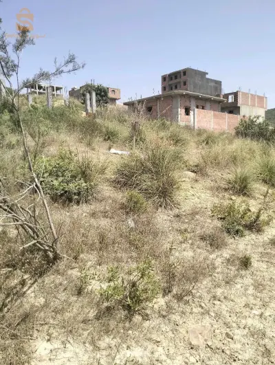 lot terrain