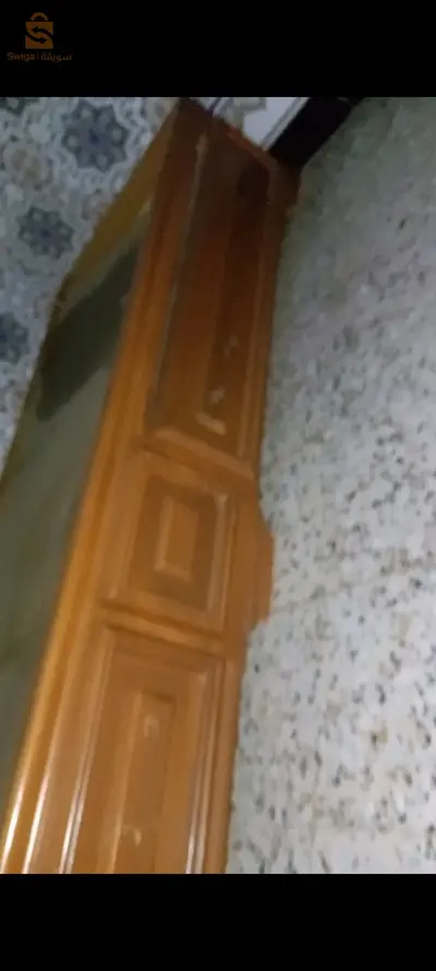كنابيات