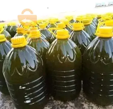 صبرة تلمسان