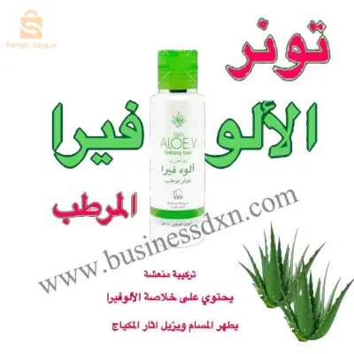 ولاية المغير