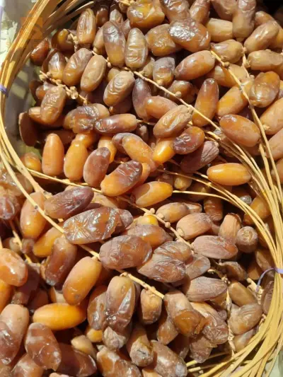 جزائر