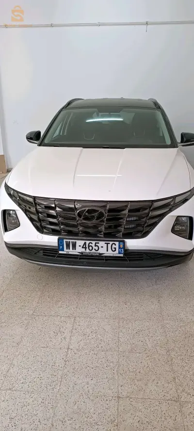 الكاليتوس