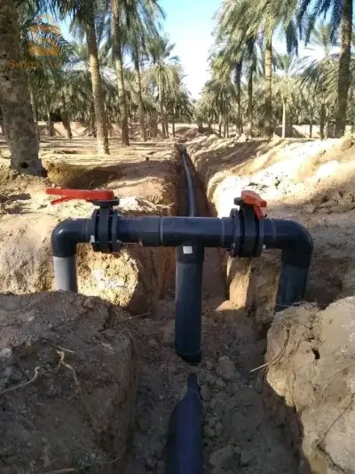 طولقة ولاية بسكرة