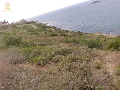 بيع قطعة ترابية منا الطريق الى البحر في ولاية بجاية بكل الوثائق و كما انها تقع خارج المناطق التوسيع السياحي تبلغو مساجتها حوالي عرة الاف متر مربع للاستفسار اتصل على الرقم، 0661841982