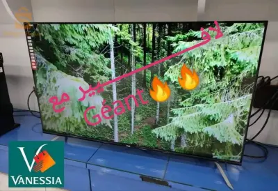 تلفاز من نوع   Géant 
Télévision géant 50p smart