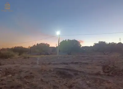 ارض صالحة البناء