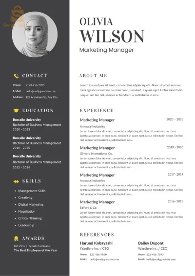 تصميم السير الذاتية - professional CV