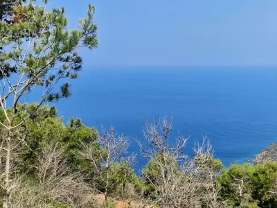 Locations Vacances
