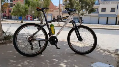 ORBEA 26
