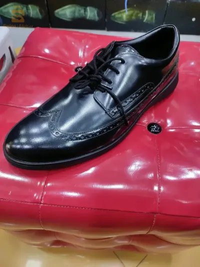 clarks