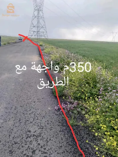 13 hectares avec fourrage et électricité