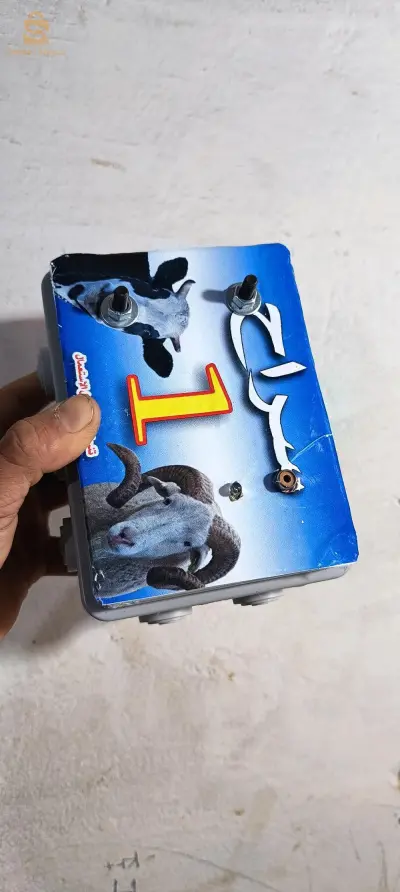 راعي كهربائي
