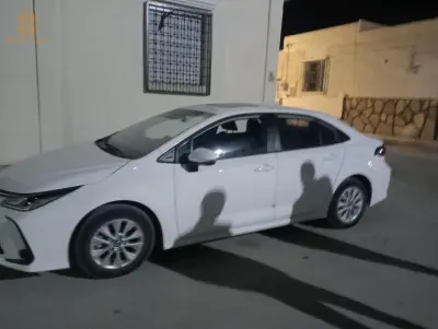 معروض