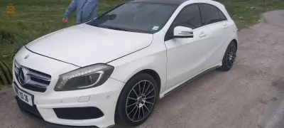 الطارف