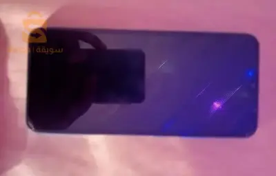 البيض