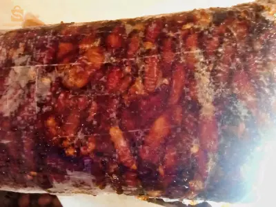 ورقلة