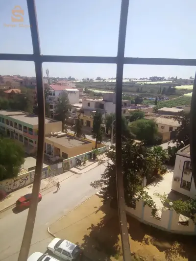 ميموزا اسطاوالي
