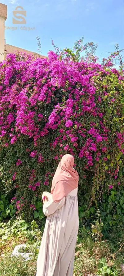 حجاب بثينة