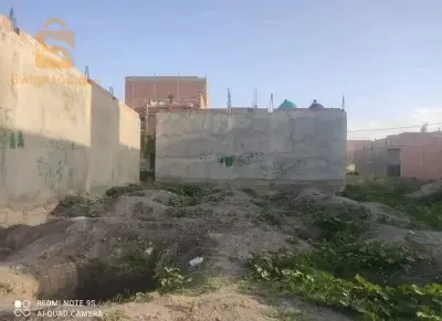 قايس