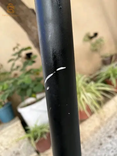 العلمة