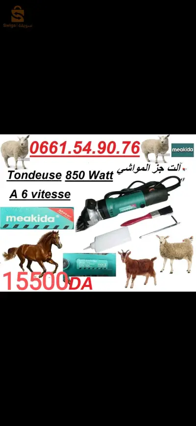 سطيف او العلمة حي 432 مسكن