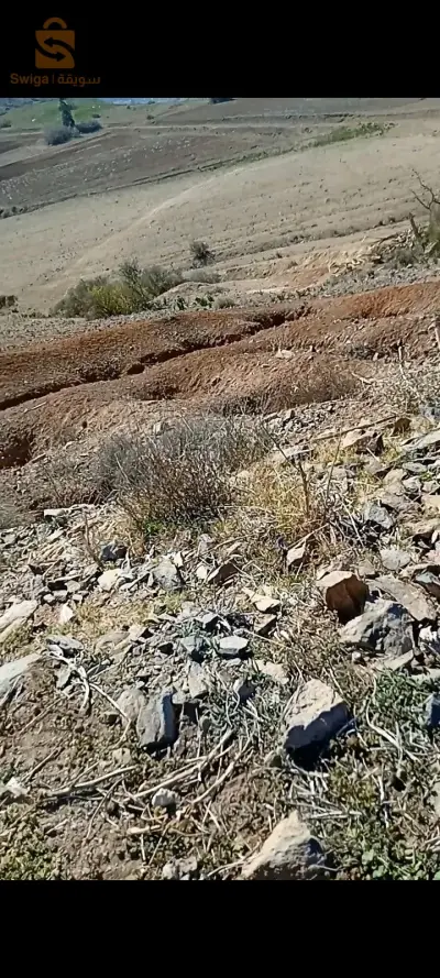 دار بنطاطا بعين جنان