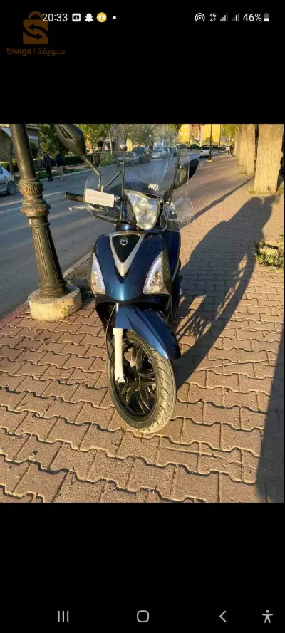 سطيف لحشامة