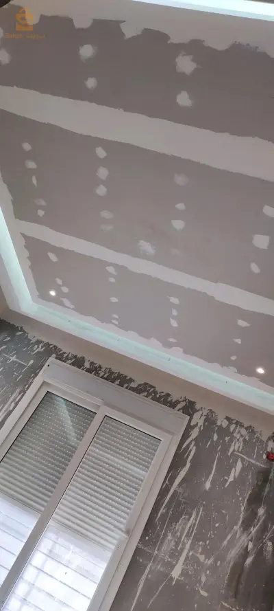 البلاكو بلاتر ودهنات الحديثة