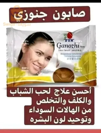 الجزائر