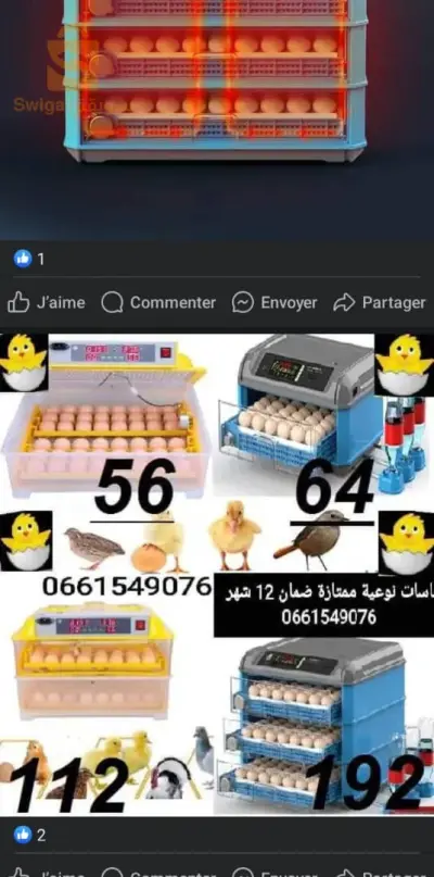 السلام عليكم  فقاسات و حاضنات للفلوس كورية المستوردة
تاع 56 بيضة ب 30000دج
تاع 112 بيضة ب 38000دج
مرحبا بكم أتصل 661549076
و نزيدو نديرولك مرافقة و كيفية الاستعمال الجيد بالخبرة تاعنا من أجل ضبط التهوية و الرطوبة الازمة حتى تعطي نتائج اكيدة 
متوفر التوصيل 58 ولاية 
متواجدين بسطيف بحي دالاس