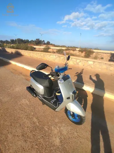 كوكسي نقي بزاف