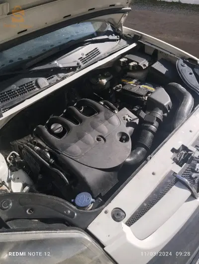 سطيف