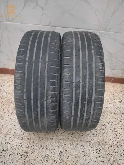عين النويصي مستغانم