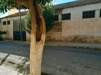 مستودع بولاية سعيدة للبيع سومة من عند الشاري