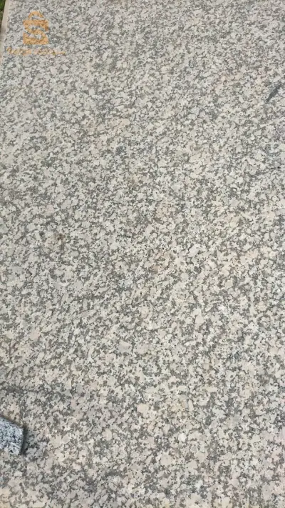 الفجوج قالمة