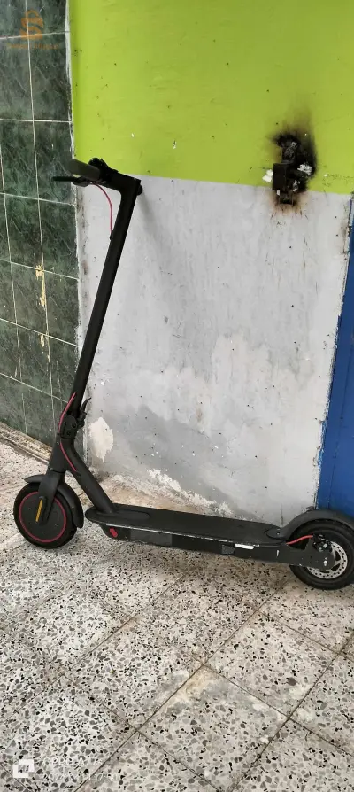 سكيكد
