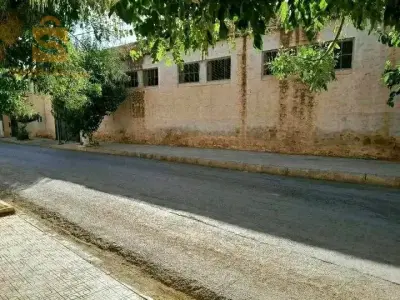 مدينة سعيدة
