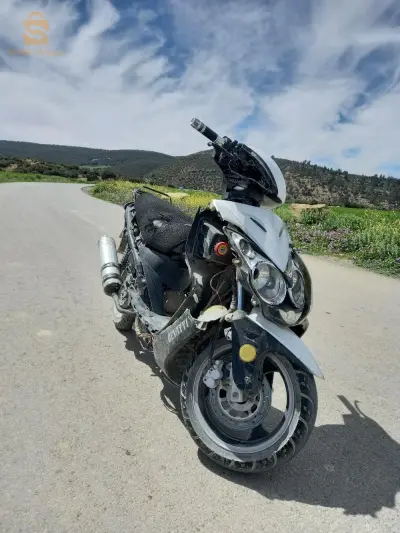 gevati z9