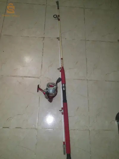 molini carbone 5mقصبة موليني كاربون  5متر