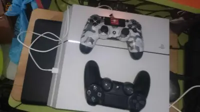 PS 4 fat