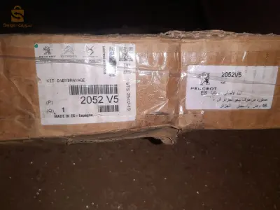 معسكر