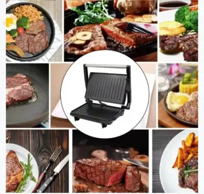 PANINEUSE et GRILLE VIANDE 2in1 TECHWOOD 750 W TPG-755/756