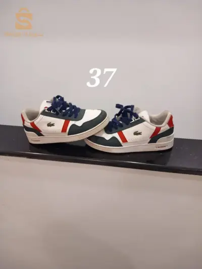 Basket Lacoste original (Très bon état)