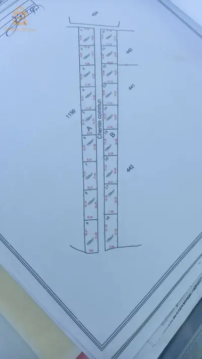 avendre terrain draria 150m²