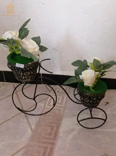 ورود للزينة