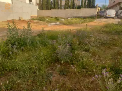 terrain 630m2 ouled fayet plateau