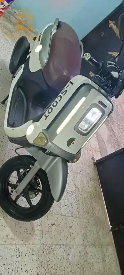 المدية