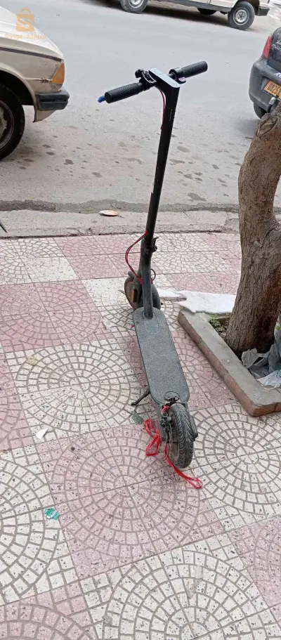 تروتينات