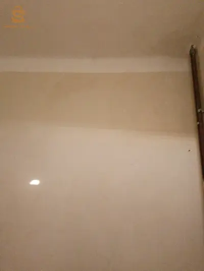 بحث عن عمل
